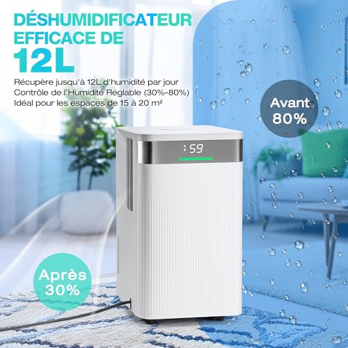 Déshumidificateur HAUSHOF Électrique 12L/Jour pour Salle de Bain & Cave Minuterie 24h et Dégivrage Automatismes